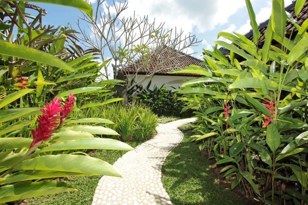 Sunset Hill Bed & Breakfast Ubud  Room photo