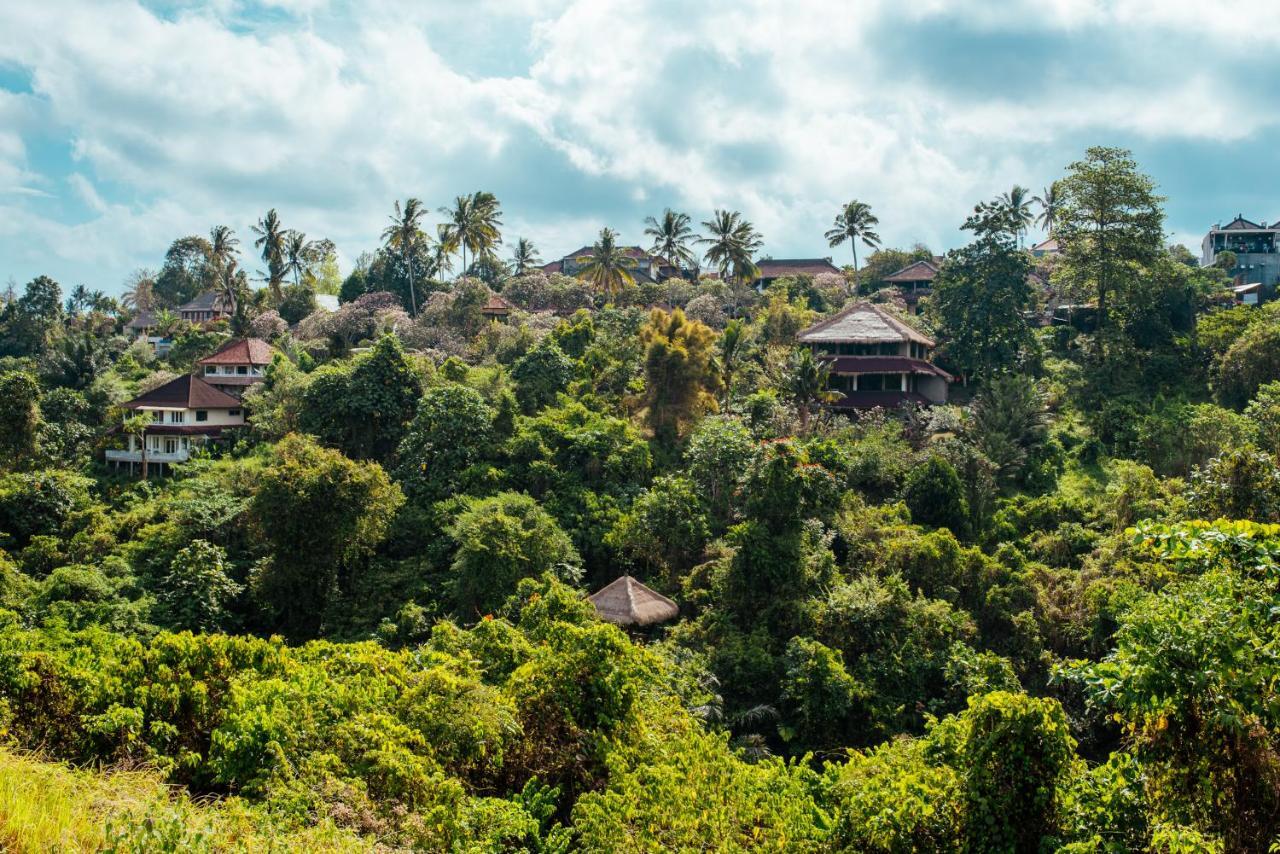 Sunset Hill Bed & Breakfast Ubud  Exterior photo
