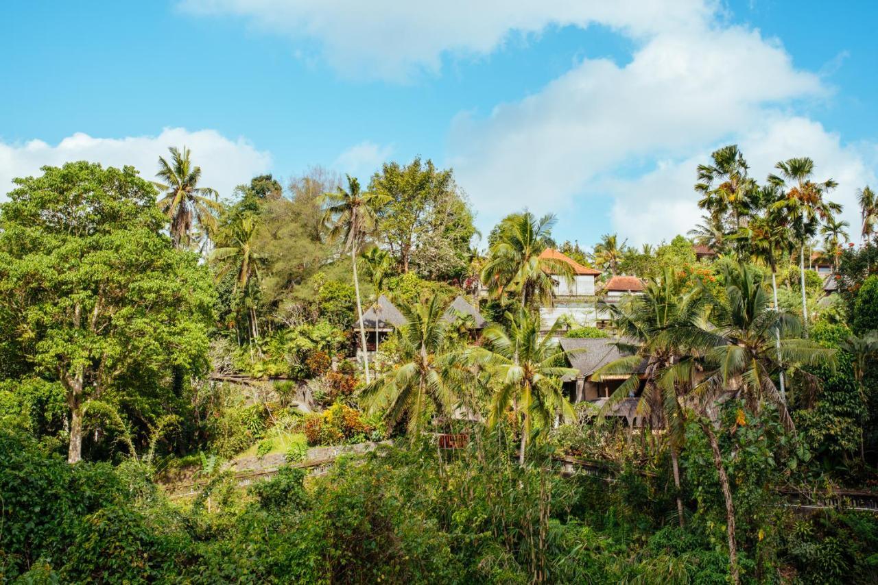 Sunset Hill Bed & Breakfast Ubud  Exterior photo